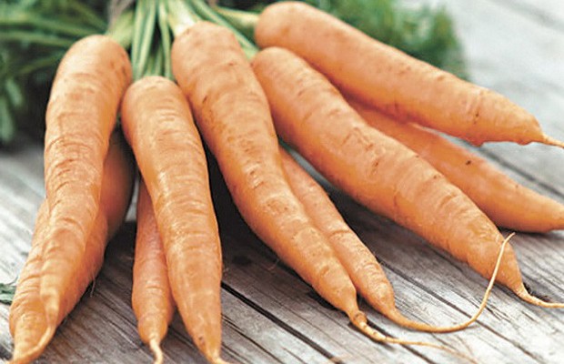 салат из моркови 1