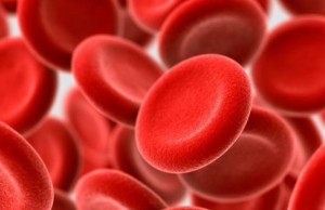 Ферритин (анализ крови) — что означает полученный результат?